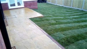 grass and patio area