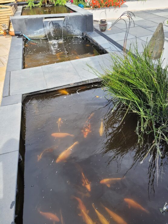 Ponds and water features - Image 8